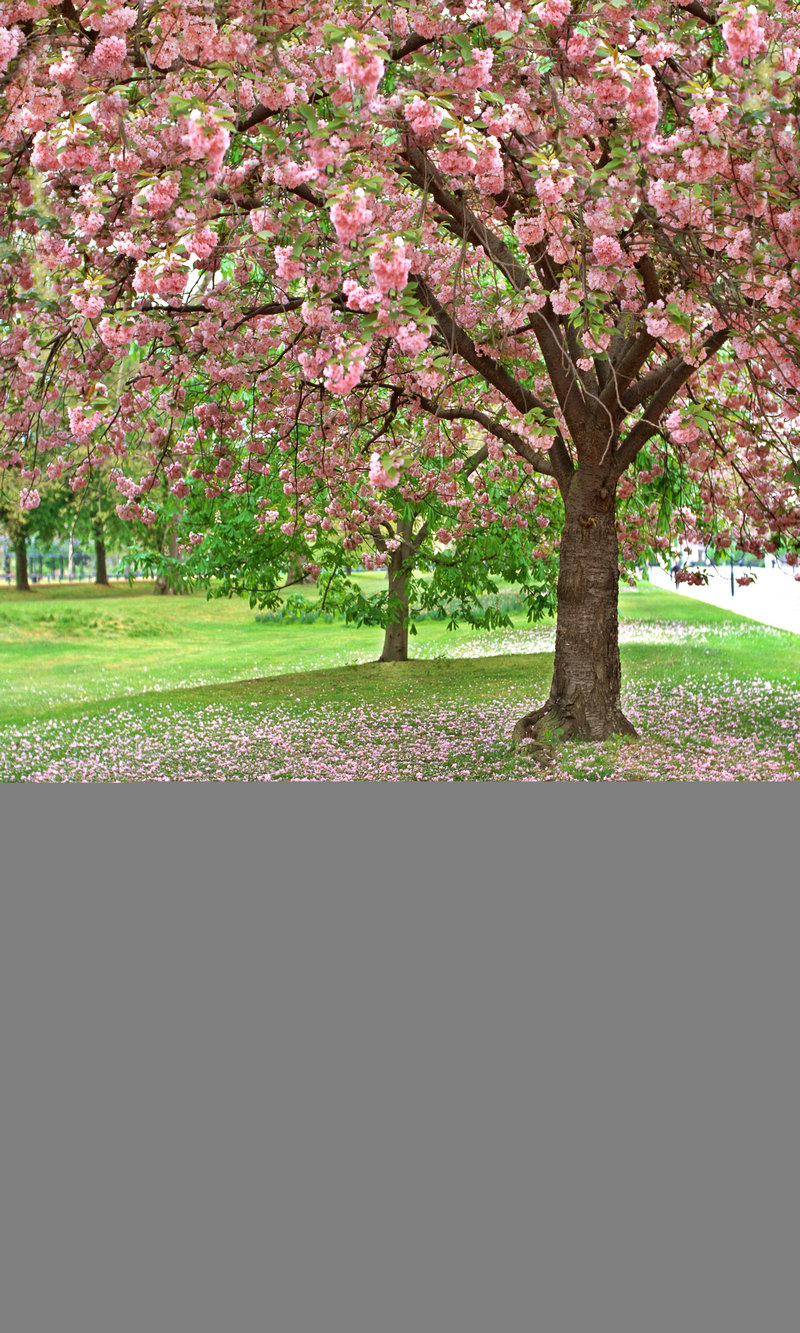 朱媛媛电视剧_姜武朱媛媛电视剧 朱媛媛电视剧_姜武朱媛媛电视剧