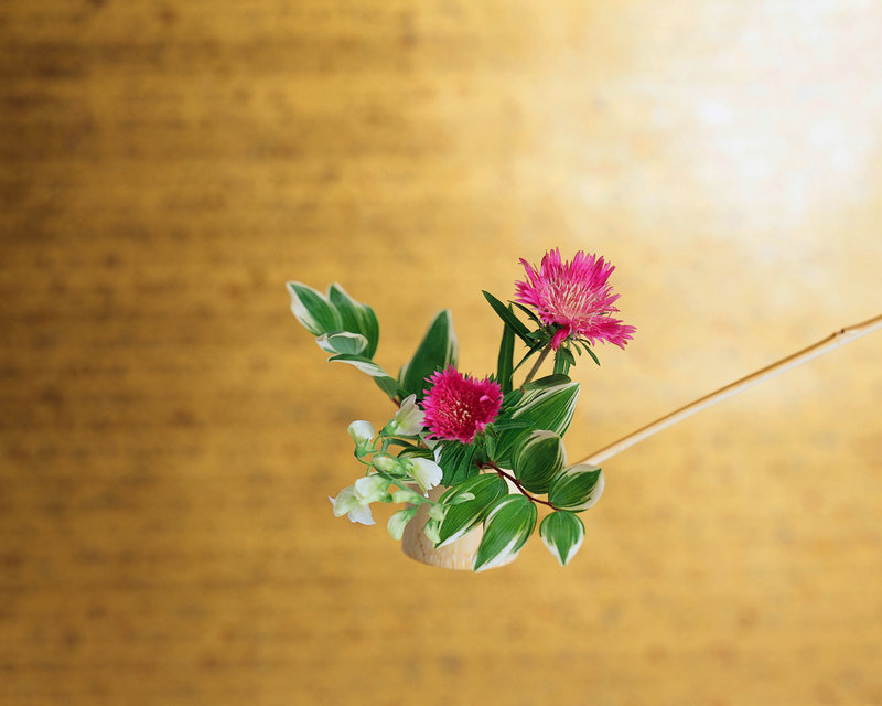 张杰谢娜 张杰谢娜的女儿