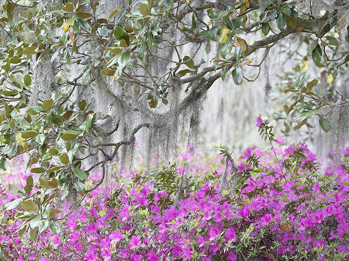 昨天的快乐大本营昨天的快乐大本营是哪一期