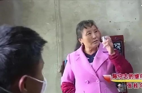 贾一平个人简历资料_贾一平个人资料简介 贾一平个人简历资料_贾一平个人资料简介