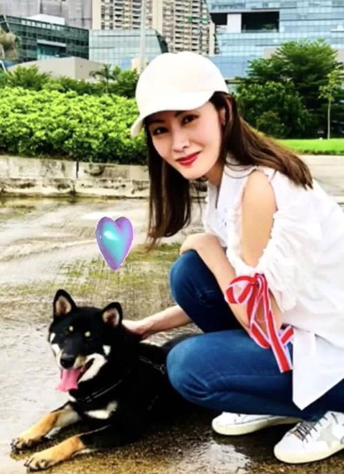 从指尖传出的热情第五季 从指尖传出的热情第五季