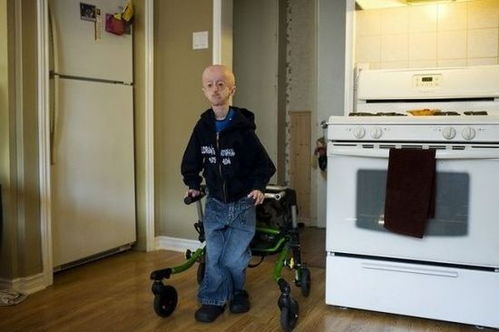 用洞若观火造句都有哪些 