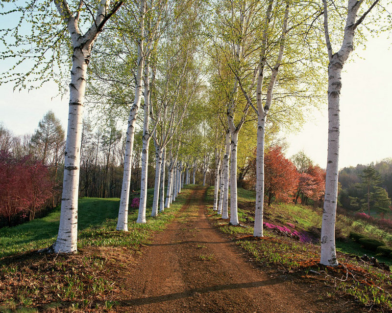 滕胤：三国时期东吴重臣，他担任过哪些职位 