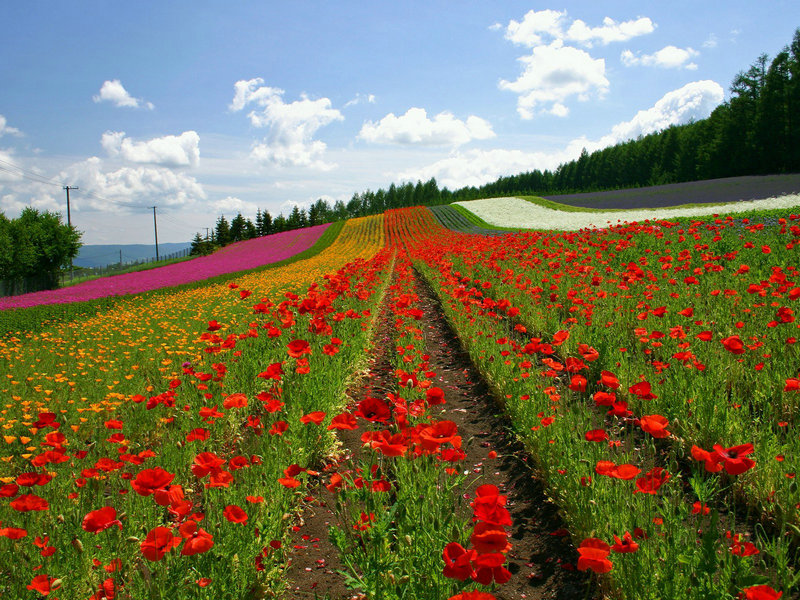 璇玑玉衡璇玑玉衡以齐七政什么意思 璇玑玉衡璇玑玉衡以齐七政什么意思