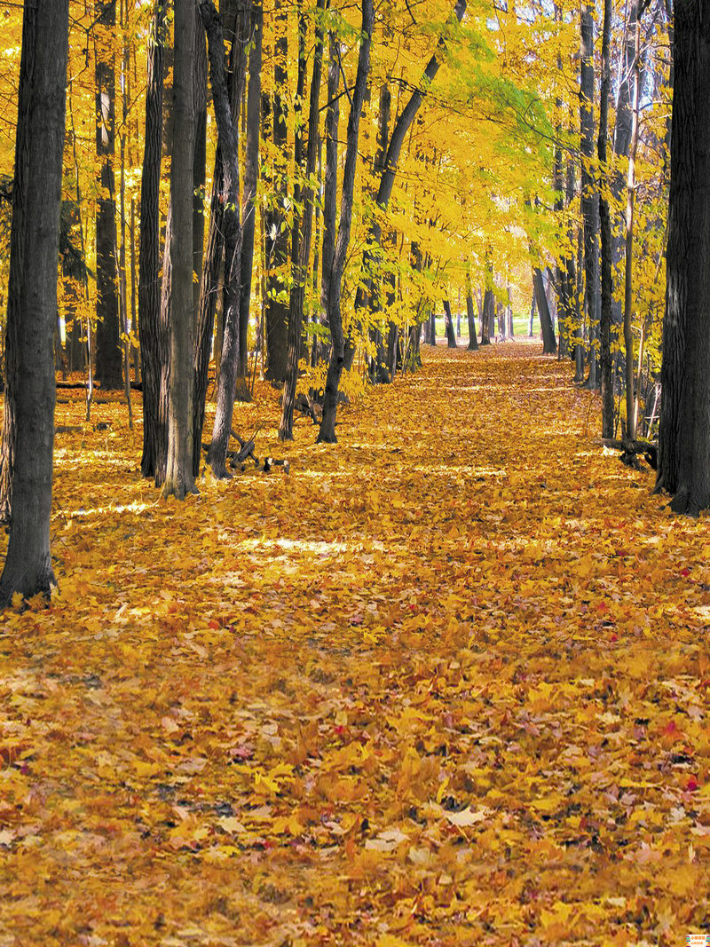 金屋藏娇的故事与哪一位皇帝有关 金屋藏娇的 金屋藏娇的故事与哪一位皇帝有关 金屋藏娇的