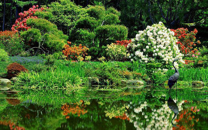 石头家庭摆放风水家居风水石头的摆放 摆放石头