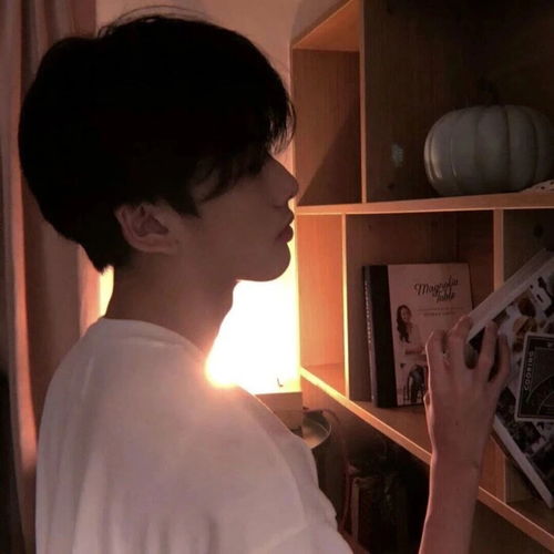 双胞胎一前一后夹心饼干双子 双胞胎一前一后夹心饼干双子