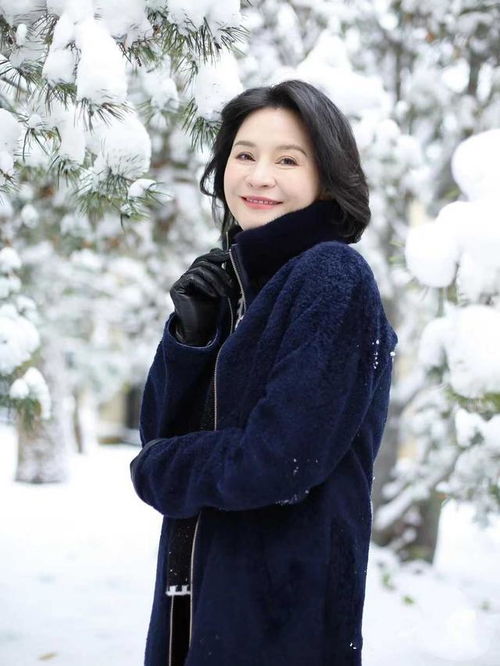 谢娜个人资料简介，谢娜个人资料简介身