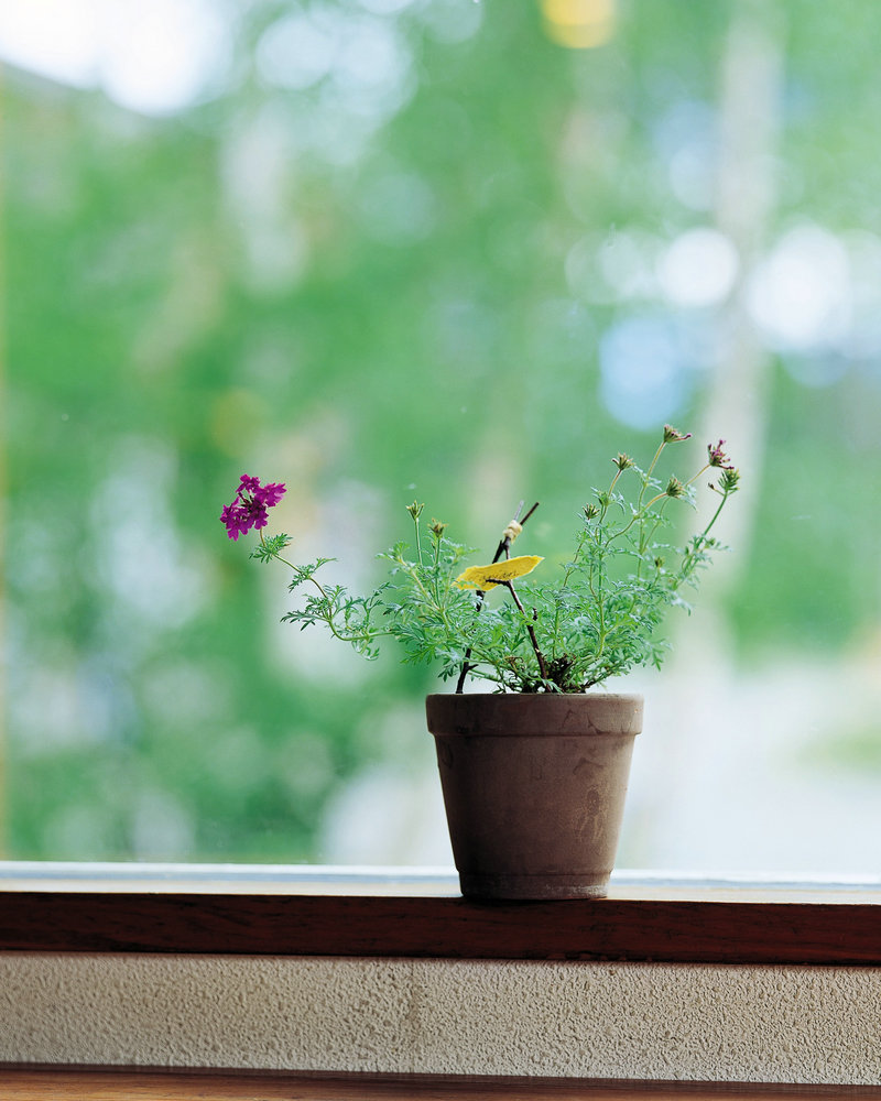 格列佛游记好段 格列佛游记好段