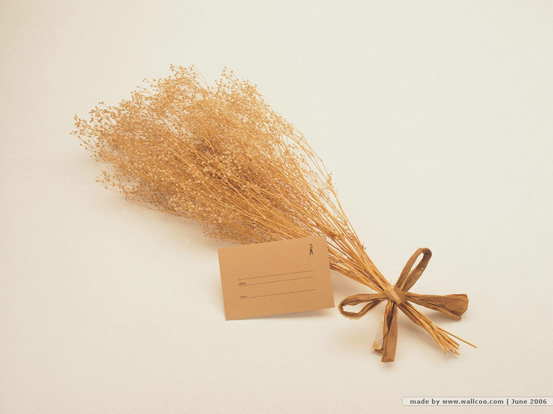 步步惊心13阿哥演员