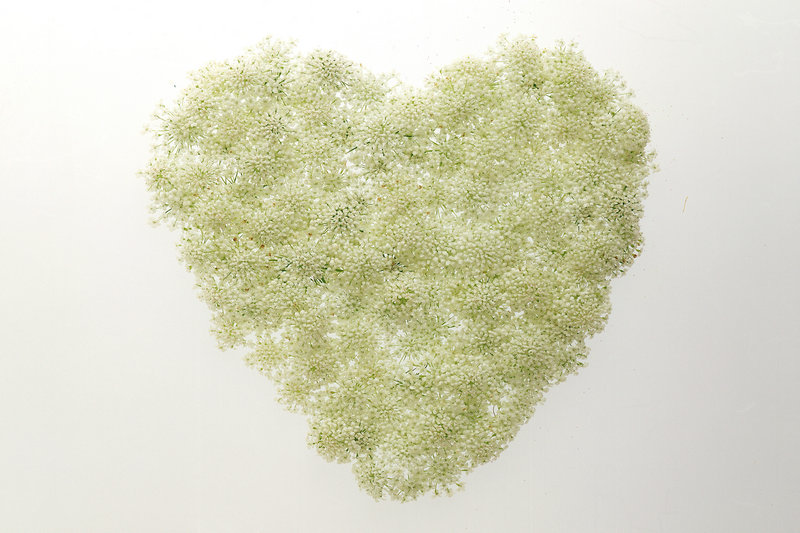 夫妻荤笑话(经典夫妻笑话大全)