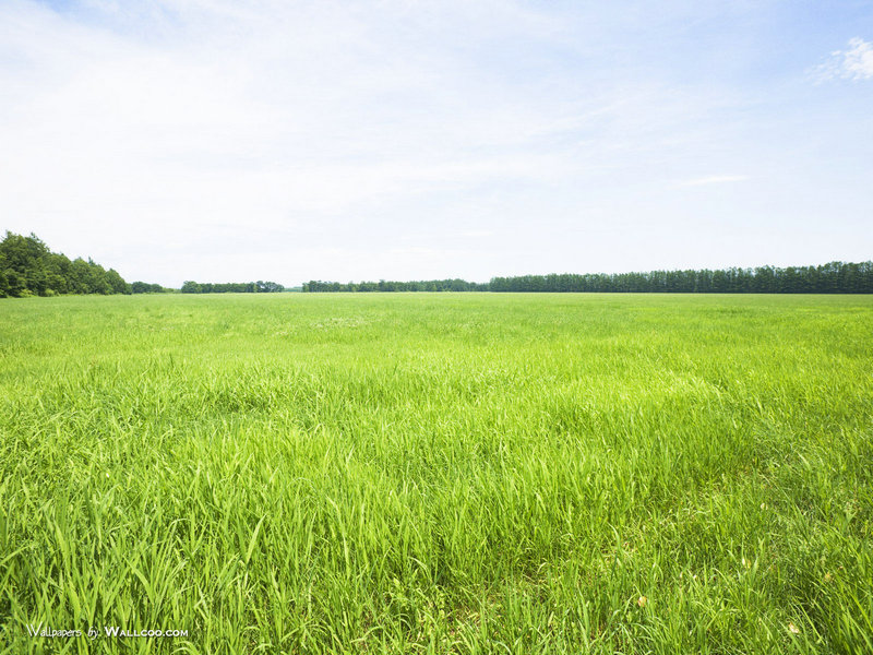 汤姆里德尔 汤姆里德尔和伏地魔是什么关系