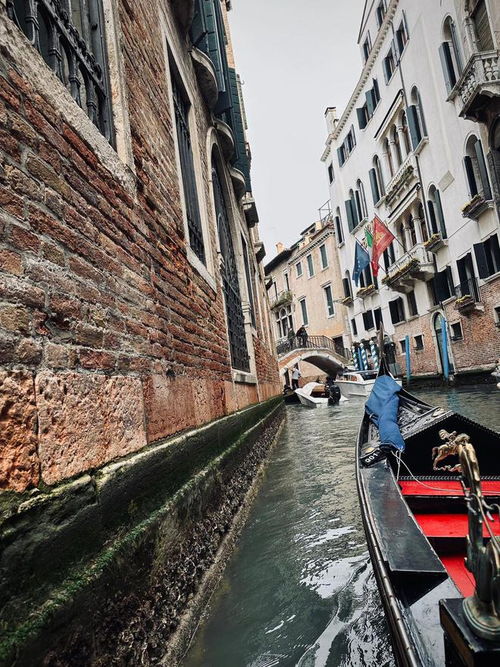 林清玄：愿你出走半生，归来仍是少年，给多年后一去不复返的自己