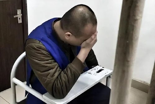 明星大侦探免费观看明侦第三季免费观看在线播放 明星大侦探免费观看明侦第三季免费观看在线播放