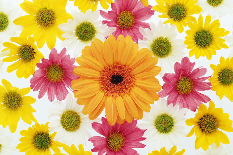 原创教务管理系统 原创教务管理系统怎么做