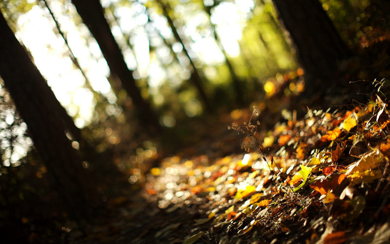 香港古装电视剧大全列表