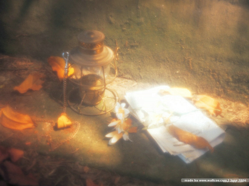 拥有更大技术路线决策权 拥有更大技术路线决策权