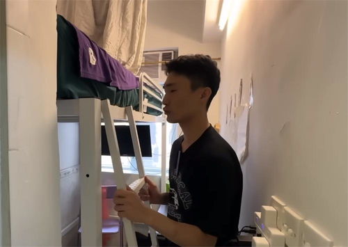 陶飞霏个人资料简介大全