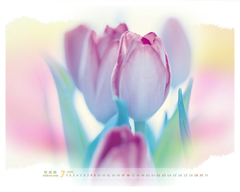 牛魔王的儿子是谁说】