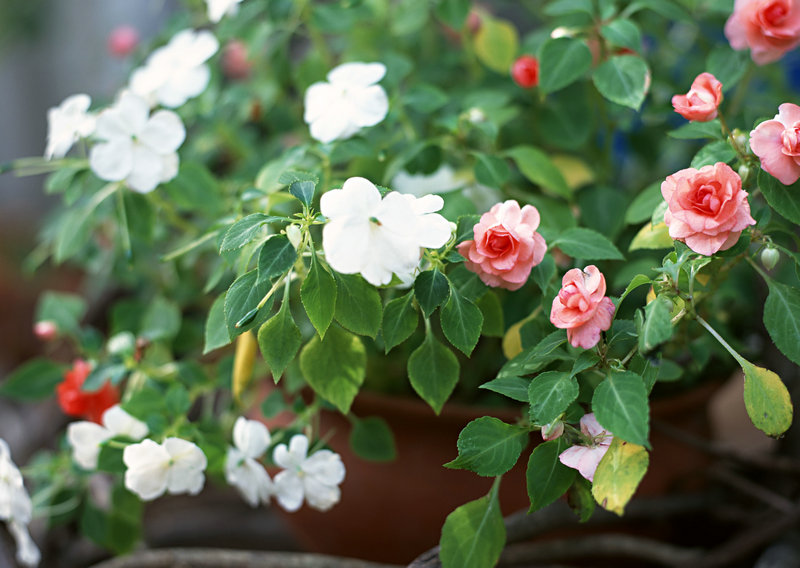 吴秀波和陈昱霖来龙去脉 吴秀波和陈昱霖来龙去脉