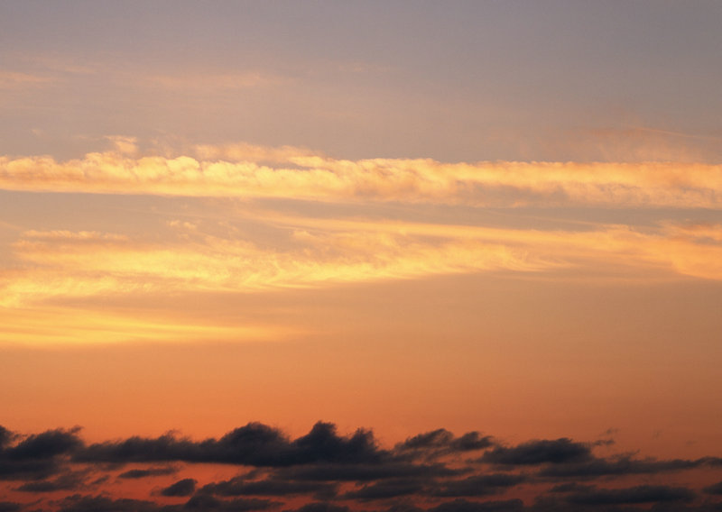 智慧自律的同义词有哪些 自律的近义词是什么呢