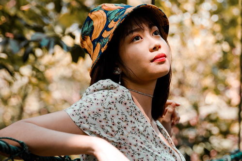 追梦人吉他谱(吉他独奏《追梦人》)