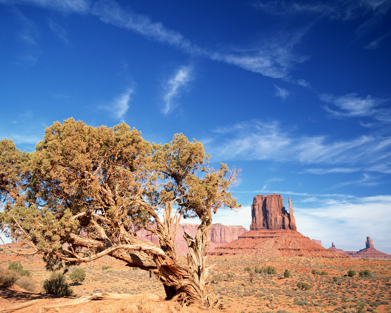 中国的文字是什么怎么统一的?隶书之前有哪些字体? 中国的文字是什么怎么统一的?隶书之前有哪些字体?