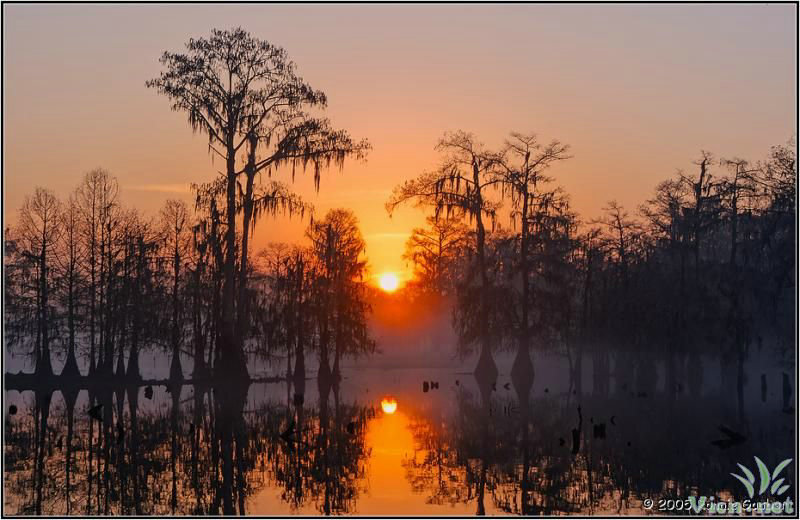 刘昊然谭松韵事件始末知乎(时隔4年,刘昊然谭 刘昊然谭松韵事件始末知乎(时隔4年,刘昊然谭