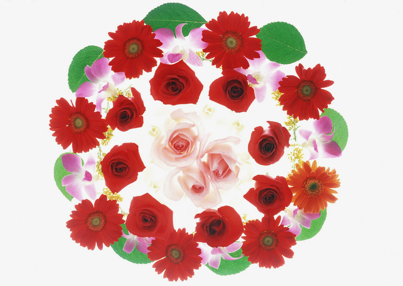 谢霆锋个人简历身高—谢霆锋的身高到底是多少