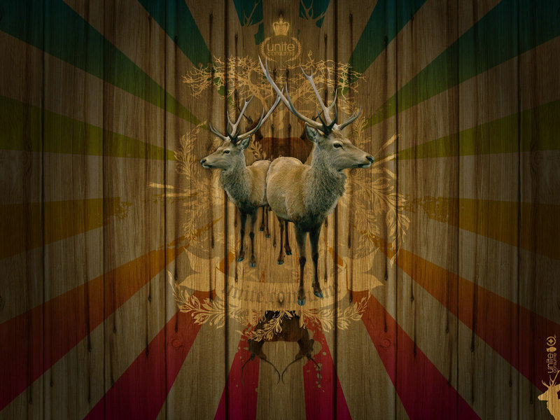 居民用狮子吼吓死小偷 法院判赔偿2000元