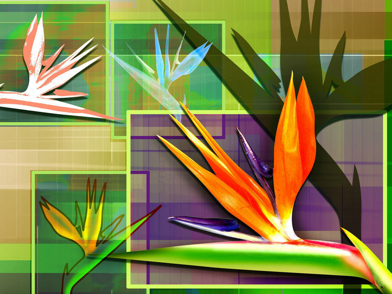 柏林艺术教育 柏林音乐艺术教育 柏林艺术教育 柏林音乐艺术教育