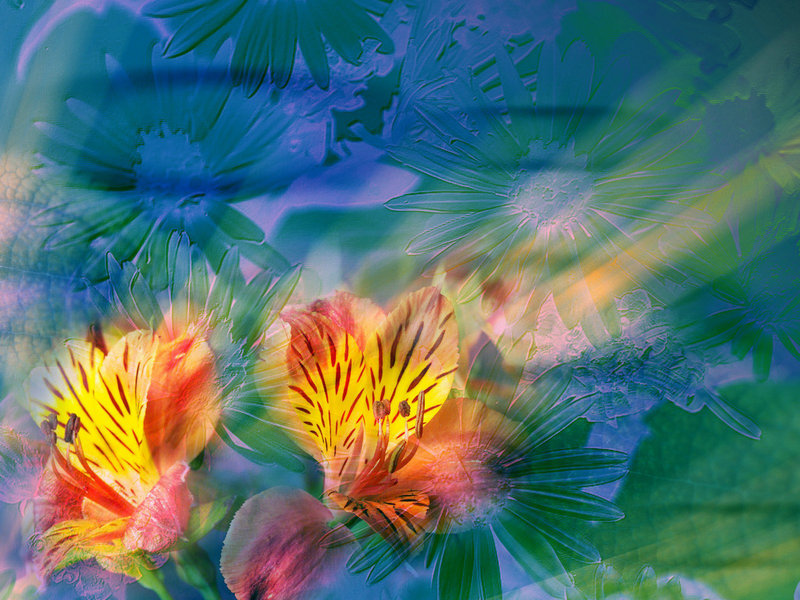 我国汉朝是怎么评定官员休假时长的 制度越来