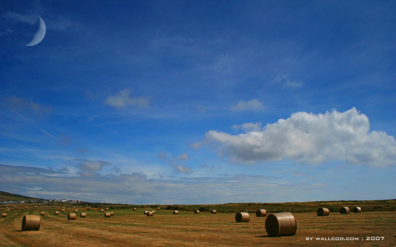 就去色论坛 就去see 就去色论坛 就去see