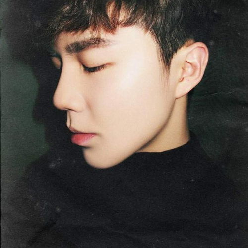 贾乃亮李小璐复婚领证了吗