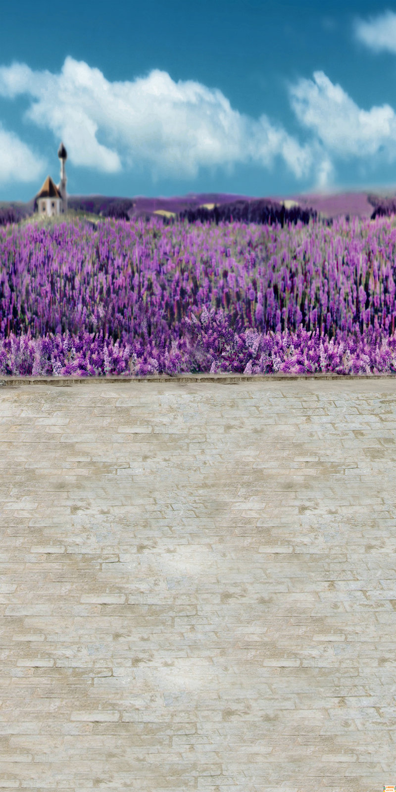 蒿姓明星有那些（历史上姓蒿的名人找性