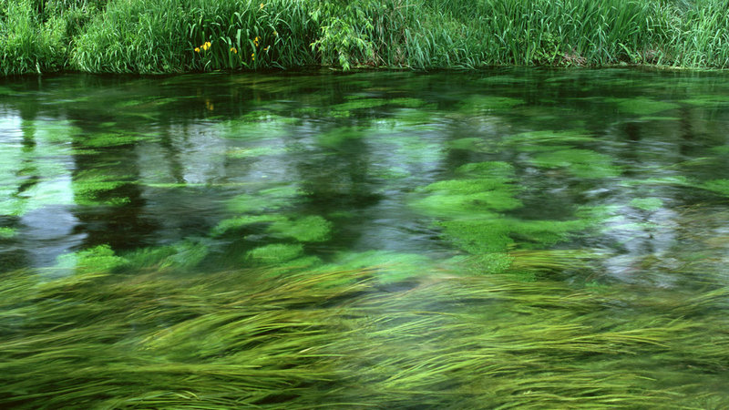 霸王茶姬创始人张俊杰与光伏二代高海纯举办婚礼 演员张萌受邀参加