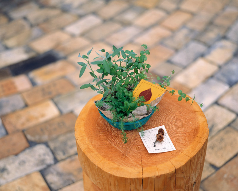 世界上第一只狗_世界上第一只狗是从哪来的