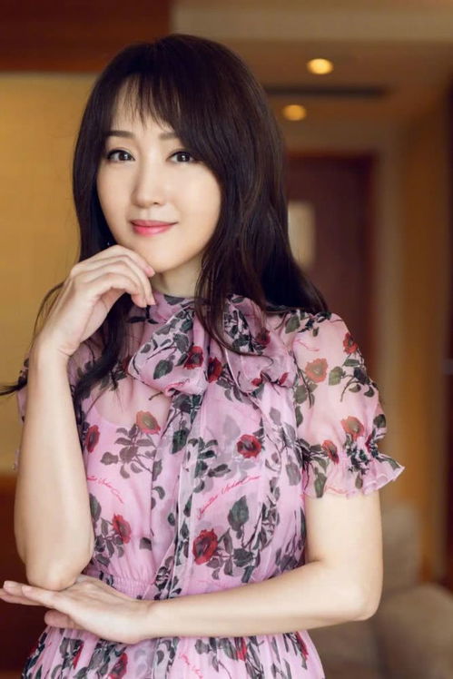 山河月明什么时候播-山河月明什么时候播哪里播