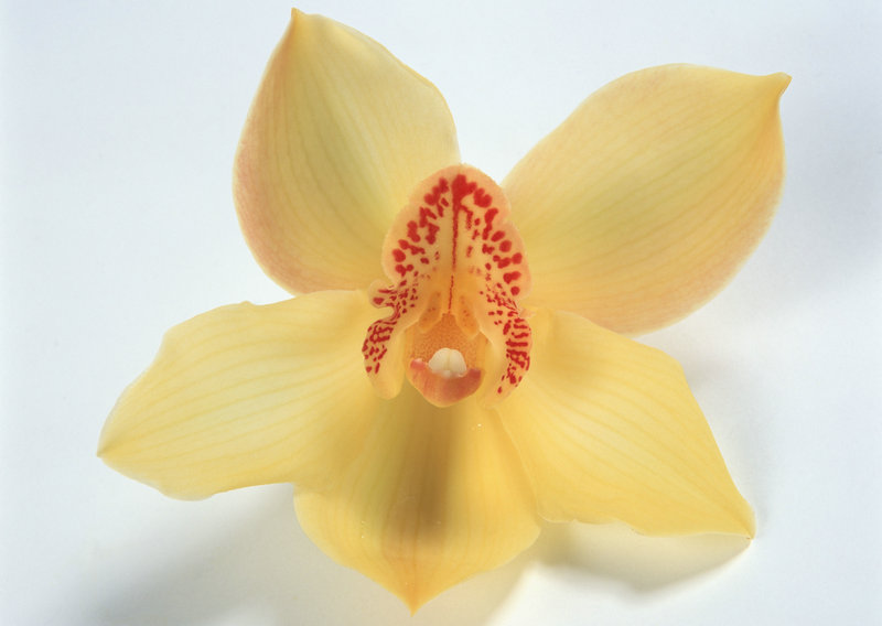 十亿年后的人类会怎样 真的会有世界末日出现吗 