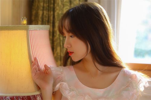 白玉兰的资料 白玉兰资料作文