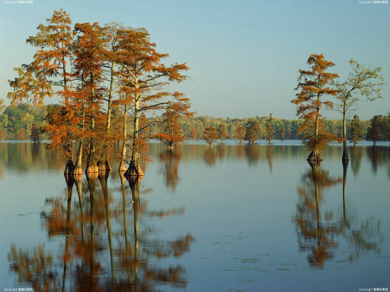 陈嘉桦个人资料简介身高