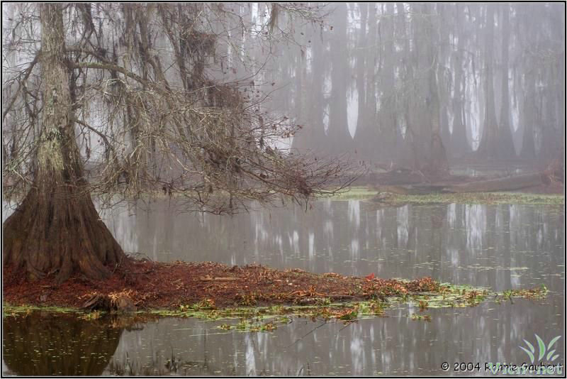 新视界纪录片 新视界纪录片大全