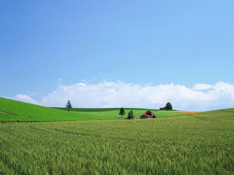演员李楠个人资料简介女 演员李楠个人资料简介女