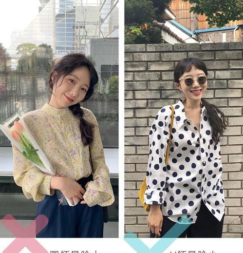 世界上最聪明的鸟类：Top10