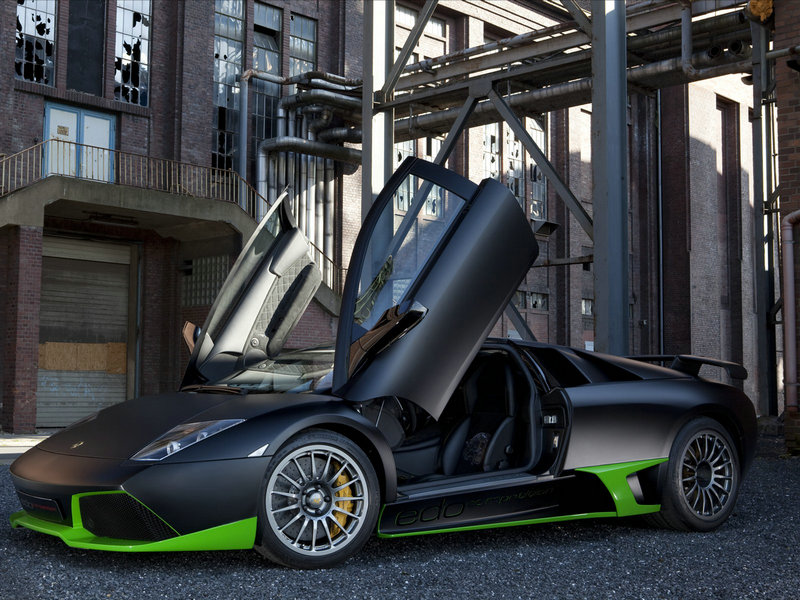 女子景区被蚂蚁叮咬心脏骤停