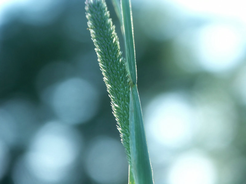 青春最强音 青春最强音第三季 在线看