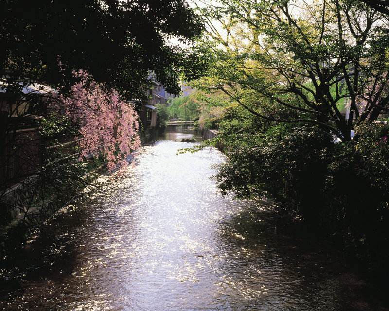 支付宝注册首页_支付宝注册首页手机版
