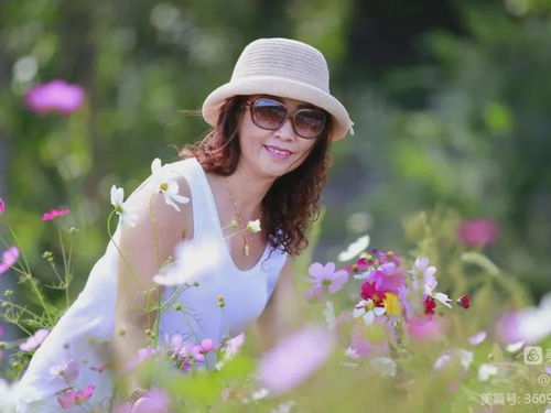 十大禁犬排行榜,魔鬼般的存在 极易咬死人 