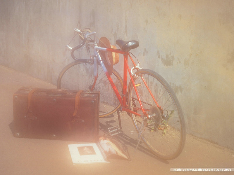 熟人熟事打一动物(熟人熟事打一动物谜底)