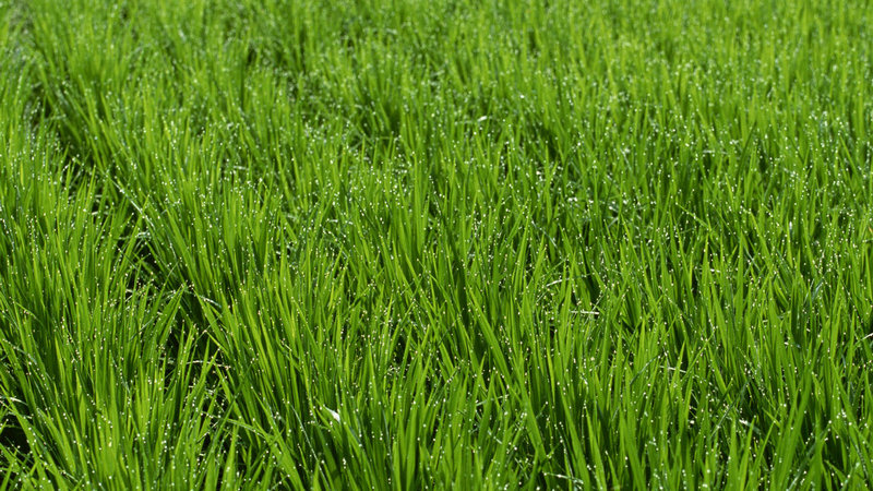 演员万茜真名叫什么 演员万茜都演过什么节目